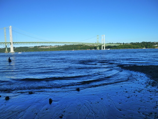 Filename=P1090950.JPG
Filesize=5849KiB
Dimensions=4320x3240
Date added=Sep 06, 2021 P1090950.JPG