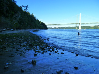 Filename=P1090951.JPG
Filesize=5856KiB
Dimensions=4320x3240
Date added=Sep 06, 2021 P1090951.JPG