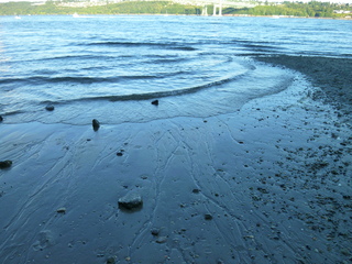 Filename=P1090953.JPG
Filesize=5799KiB
Dimensions=4320x3240
Date added=Sep 06, 2021 P1090953.JPG