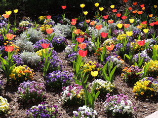 Filename=DSCN1720.JPG
Filesize=5673KiB
Dimensions=4608x3456
Date added=Sep 19, 2019 DSCN1720.JPG