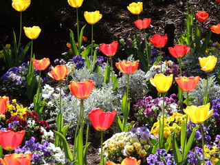 Filename=DSCN1721.JPG
Filesize=6069KiB
Dimensions=4608x3456
Date added=Sep 19, 2019 DSCN1721.JPG