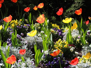 Filename=DSCN1722.JPG
Filesize=6280KiB
Dimensions=4608x3456
Date added=Sep 19, 2019 DSCN1722.JPG