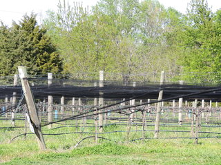 Filename=DSCN1735.JPG
Filesize=5332KiB
Dimensions=4608x3456
Date added=Sep 19, 2019 DSCN1735.JPG