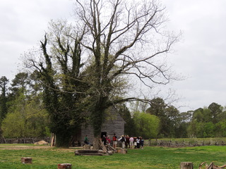 Filename=DSCN1739.JPG
Filesize=6027KiB
Dimensions=4608x3456
Date added=Sep 19, 2019 DSCN1739.JPG