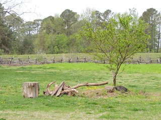 Filename=DSCN1741.JPG
Filesize=5817KiB
Dimensions=4608x3456
Date added=Sep 19, 2019 DSCN1741.JPG