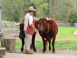 Filename=DSCN1749.JPG
Filesize=6180KiB
Dimensions=4608x3456
Date added=Sep 19, 2019 DSCN1749.JPG