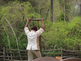 Filename=DSCN1755.JPG
Filesize=6214KiB
Dimensions=4608x3456
Date added=Sep 19, 2019 DSCN1755.JPG