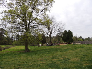 Filename=DSCN1766.JPG
Filesize=5069KiB
Dimensions=4608x3456
Date added=Sep 19, 2019 DSCN1766.JPG