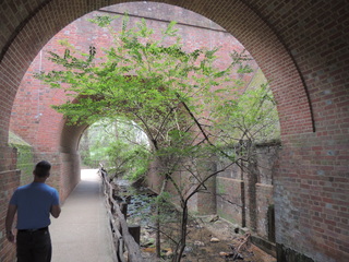 Filename=DSCN1774.JPG
Filesize=5471KiB
Dimensions=4608x3456
Date added=Sep 19, 2019 DSCN1774.JPG