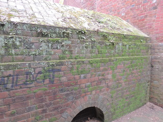 Filename=DSCN1775.JPG
Filesize=5235KiB
Dimensions=4608x3456
Date added=Sep 19, 2019 DSCN1775.JPG