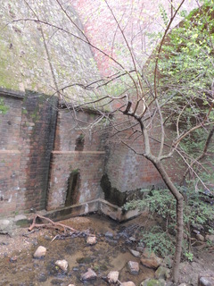 Filename=DSCN1776.JPG
Filesize=5397KiB
Dimensions=3456x4608
Date added=Sep 19, 2019 DSCN1776.JPG