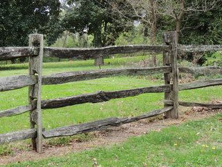 Filename=DSCN1777.JPG
Filesize=5455KiB
Dimensions=4608x3456
Date added=Sep 19, 2019 DSCN1777.JPG