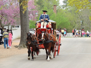 Filename=DSCN1785.JPG
Filesize=6183KiB
Dimensions=4608x3456
Date added=Sep 19, 2019 DSCN1785.JPG