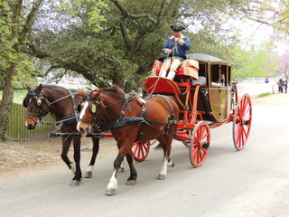 Filename=DSCN1786.JPG
Filesize=5514KiB
Dimensions=4608x3456
Date added=Sep 19, 2019 DSCN1786.JPG