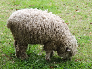 Filename=DSCN1789.JPG
Filesize=5821KiB
Dimensions=4608x3456
Date added=Sep 19, 2019 DSCN1789.JPG