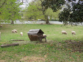 Filename=DSCN1799.JPG
Filesize=5330KiB
Dimensions=4608x3456
Date added=Sep 19, 2019 DSCN1799.JPG