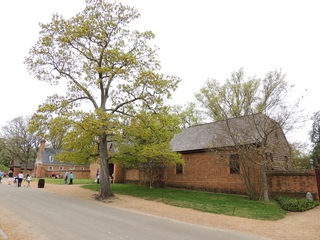 Filename=DSCN1801.JPG
Filesize=5370KiB
Dimensions=4608x3456
Date added=Sep 19, 2019 DSCN1801.JPG