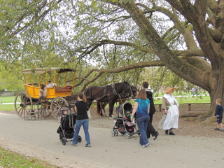 Filename=DSCN1846.JPG
Filesize=6032KiB
Dimensions=4608x3456
Date added=Sep 19, 2019 DSCN1846.JPG