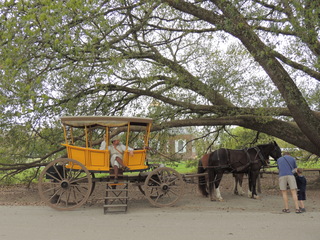 Filename=DSCN1847.JPG
Filesize=5674KiB
Dimensions=4608x3456
Date added=Sep 19, 2019 DSCN1847.JPG