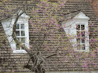 Filename=DSCN1860.JPG
Filesize=5436KiB
Dimensions=4608x3456
Date added=Sep 19, 2019 DSCN1860.JPG