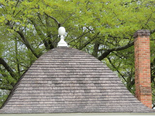 Filename=DSCN1861.JPG
Filesize=5370KiB
Dimensions=4608x3456
Date added=Sep 19, 2019 DSCN1861.JPG