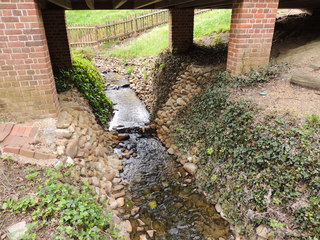 Filename=DSCN1881.JPG
Filesize=4866KiB
Dimensions=4608x3456
Date added=Sep 19, 2019 DSCN1881.JPG