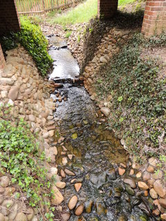 Filename=DSCN1883.JPG
Filesize=4789KiB
Dimensions=3456x4608
Date added=Sep 19, 2019 DSCN1883.JPG