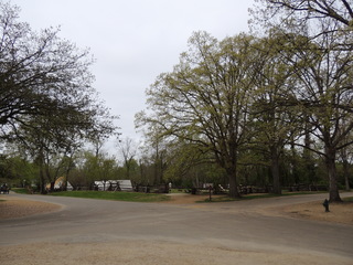 Filename=DSCN1925.JPG
Filesize=5303KiB
Dimensions=4608x3456
Date added=Sep 19, 2019 DSCN1925.JPG