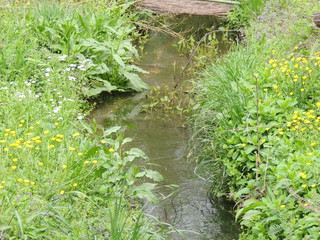 Filename=DSCN1941.JPG
Filesize=5801KiB
Dimensions=4608x3456
Date added=Sep 19, 2019 DSCN1941.JPG