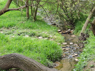 Filename=DSCN1943.JPG
Filesize=5370KiB
Dimensions=4608x3456
Date added=Sep 19, 2019 DSCN1943.JPG