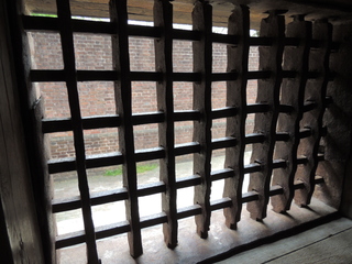 Filename=DSCN1954.JPG
Filesize=4909KiB
Dimensions=4608x3456
Date added=Sep 19, 2019 DSCN1954.JPG