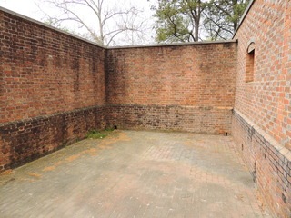 Filename=DSCN1956.JPG
Filesize=5134KiB
Dimensions=4608x3456
Date added=Sep 19, 2019 DSCN1956.JPG