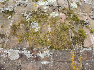 Filename=DSCN1964.JPG
Filesize=4549KiB
Dimensions=4608x3456
Date added=Sep 19, 2019 DSCN1964.JPG