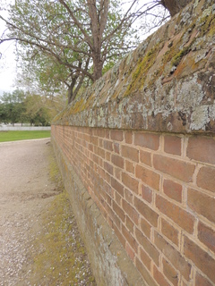 Filename=DSCN1966.JPG
Filesize=5611KiB
Dimensions=3456x4608
Date added=Sep 19, 2019 DSCN1966.JPG