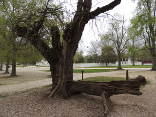 Filename=DSCN1971.JPG
Filesize=5105KiB
Dimensions=4608x3456
Date added=Sep 19, 2019 DSCN1971.JPG