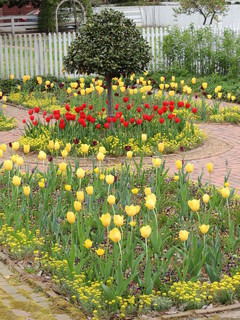 Filename=DSCN2042.JPG
Filesize=5702KiB
Dimensions=3456x4608
Date added=Sep 19, 2019 DSCN2042.JPG