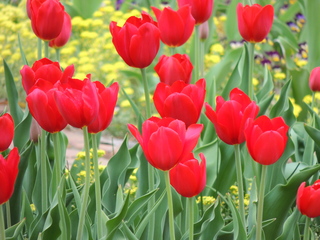 Filename=DSCN2044.JPG
Filesize=6123KiB
Dimensions=4608x3456
Date added=Sep 19, 2019 DSCN2044.JPG