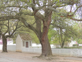 Filename=DSCN2060.JPG
Filesize=5603KiB
Dimensions=4608x3456
Date added=Sep 19, 2019 DSCN2060.JPG