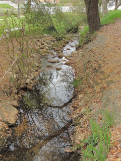 Filename=DSCN2078.JPG
Filesize=5568KiB
Dimensions=3456x4608
Date added=Sep 19, 2019 DSCN2078.JPG