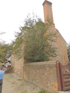 Filename=DSCN2093.JPG
Filesize=5363KiB
Dimensions=3456x4608
Date added=Sep 19, 2019 DSCN2093.JPG