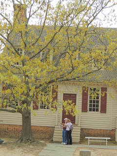 Filename=DSCN2103.JPG
Filesize=6208KiB
Dimensions=3456x4608
Date added=Sep 19, 2019 DSCN2103.JPG