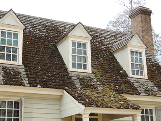 Filename=DSCN2155.JPG
Filesize=6107KiB
Dimensions=4608x3456
Date added=Sep 19, 2019 DSCN2155.JPG