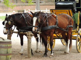 Filename=DSCN2160.JPG
Filesize=6289KiB
Dimensions=4608x3456
Date added=Sep 19, 2019 DSCN2160.JPG