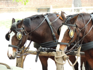 Filename=DSCN2161.JPG
Filesize=5839KiB
Dimensions=4608x3456
Date added=Sep 19, 2019 DSCN2161.JPG