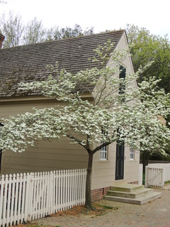 Filename=DSCN2188.JPG
Filesize=5597KiB
Dimensions=3456x4608
Date added=Sep 19, 2019 DSCN2188.JPG