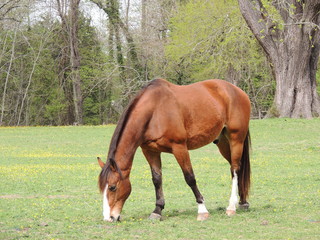 Filename=DSCN2216.JPG
Filesize=5670KiB
Dimensions=4608x3456
Date added=Sep 19, 2019 DSCN2216.JPG