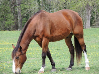 Filename=DSCN2217.JPG
Filesize=6039KiB
Dimensions=4608x3456
Date added=Sep 19, 2019 DSCN2217.JPG