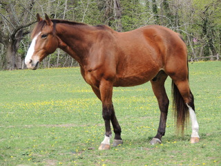 Filename=DSCN2220.JPG
Filesize=6057KiB
Dimensions=4608x3456
Date added=Sep 19, 2019 DSCN2220.JPG