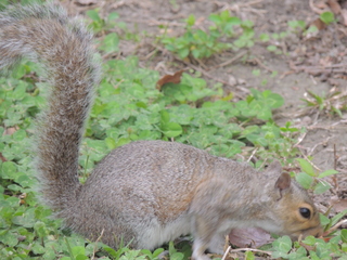 Filename=DSCN2230.JPG
Filesize=5603KiB
Dimensions=4608x3456
Date added=Sep 19, 2019 DSCN2230.JPG