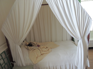 Filename=DSCN2266.JPG
Filesize=4693KiB
Dimensions=4608x3456
Date added=Sep 19, 2019 DSCN2266.JPG